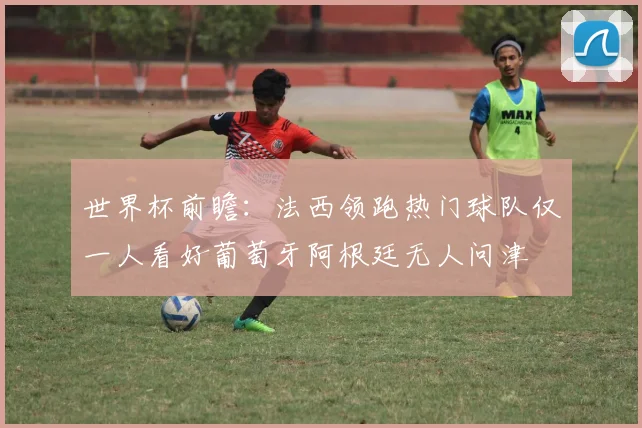 世界杯前瞻：法西领跑热门球队仅一人看好葡萄牙阿根廷无人问津